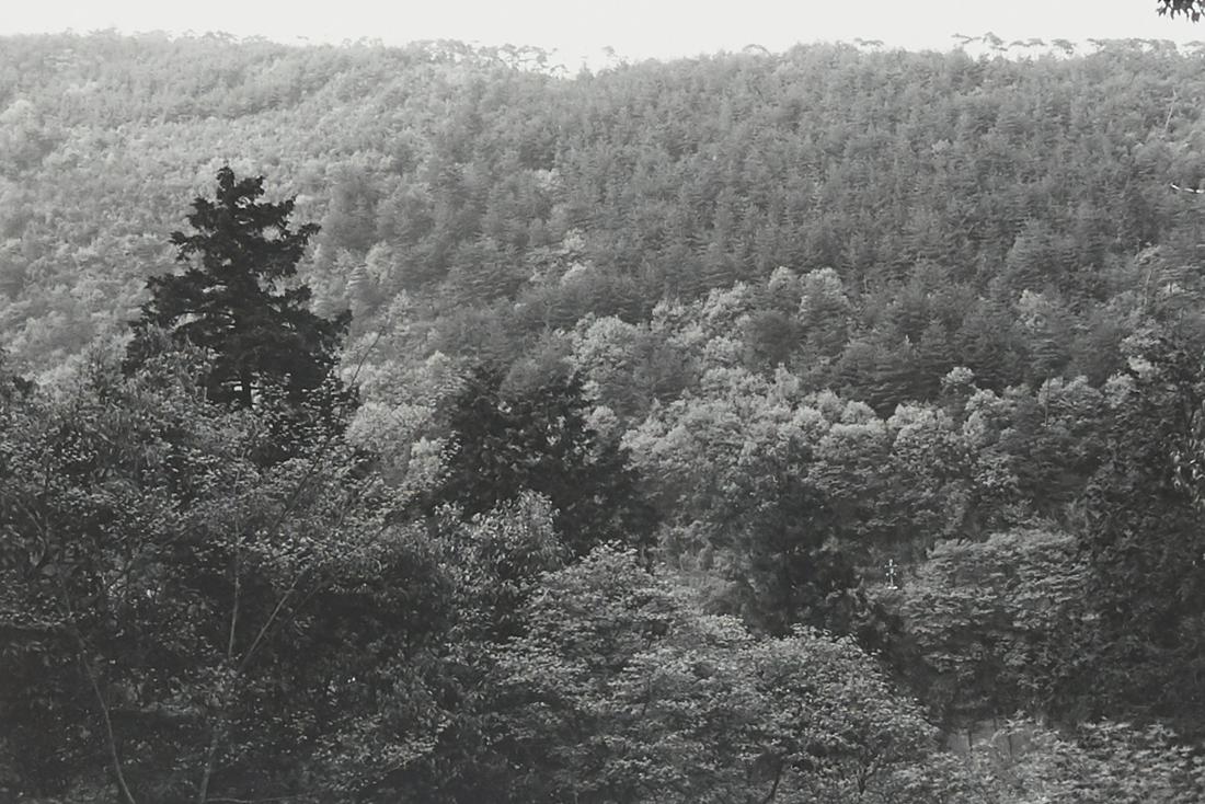 Lee Friedlander "Kyoto" Photograph: Lee Friedlander (b. 1934). Photograph titled "Kyoto," depicting Kyoto's landscape. Silver gelatin print. Provenance: Distinguished corporate collection, Minnesota.Sight; height:7 5/8 in x wi