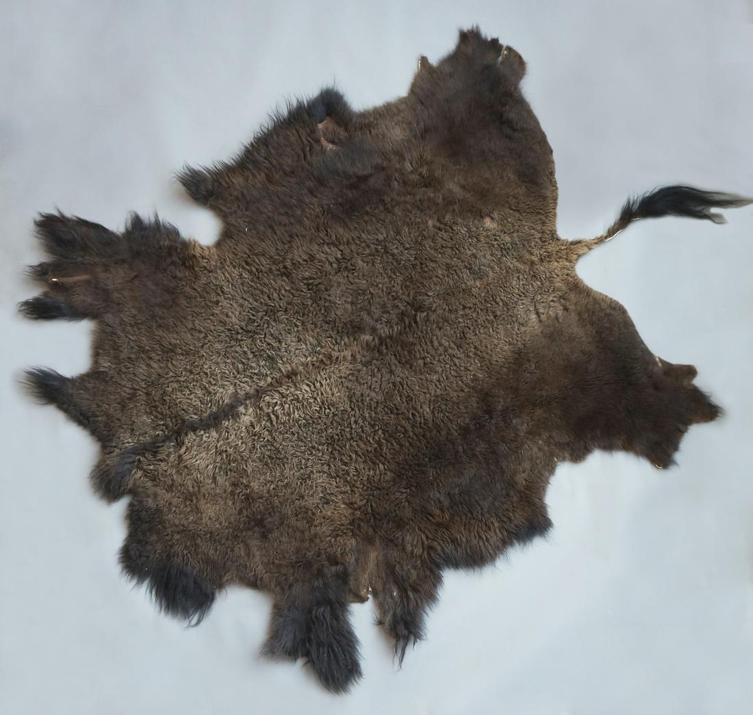 Montana Wild American Bison Fur Hide Rug (1 of 3)
