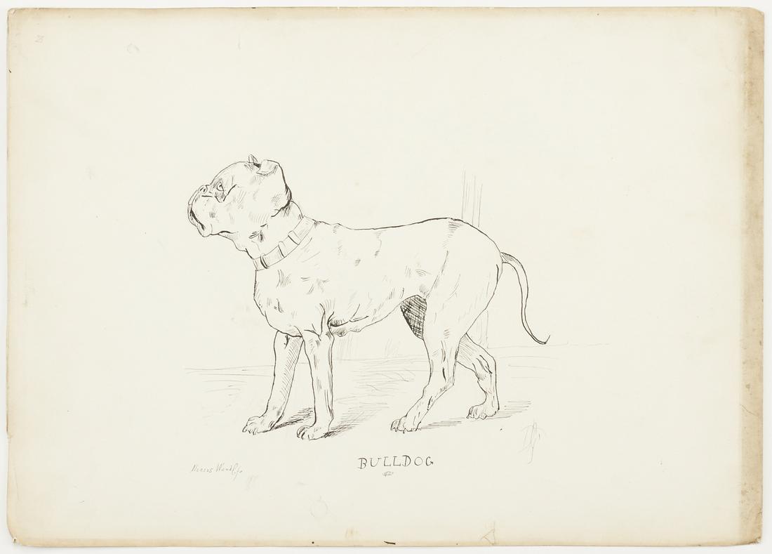 Duncan Grant "Bulldog" Ink & Graphite Drawing: Duncan Grant (British, 1885-1978). Ink and graphite drawings on two pages of paper from a sketchbook depicting various items such as floral motifs, a horse, and a bulldog. Under the dog is the inscrip