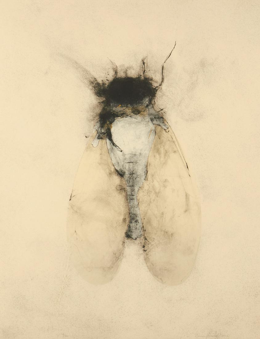 Nancy Randall Cicada Lithograph: Nancy Randall (American, 20th/21st century). Lithograph on paper depicting an aerial view of a cicada. Signed and dated 2002 along the lower right. Numbered 14/32 along the lower left. Sight; height: 