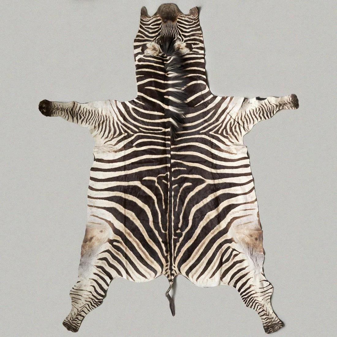 Zebra Skin Rug 9'6" x 4'10" (1 of 5)