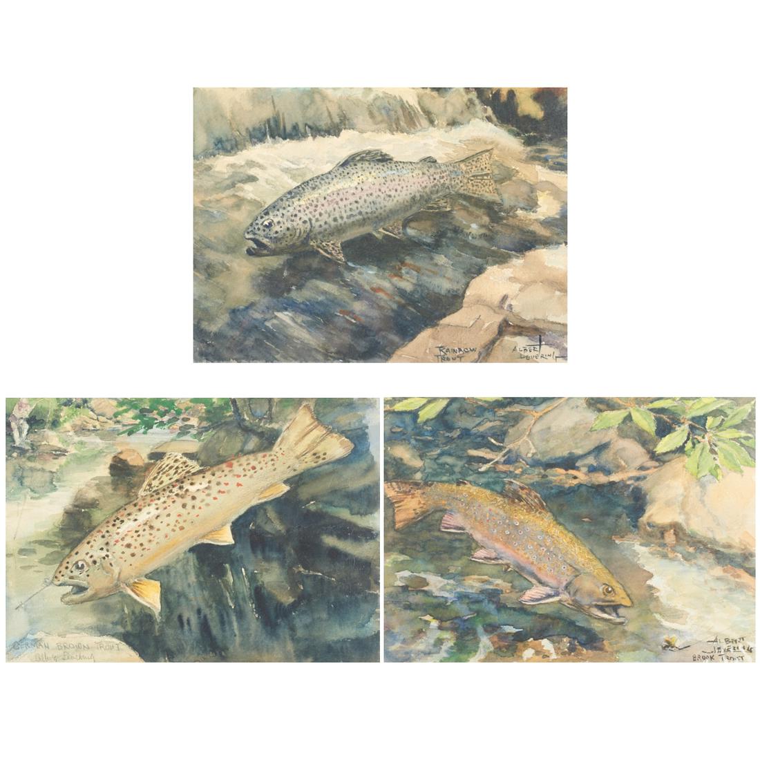 Grp: 3 Albert Levering Fish Watercolors (1 of 10)