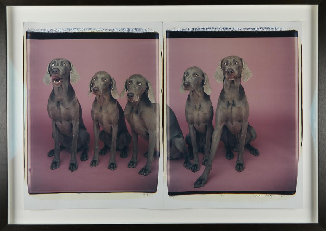 William Wegman "3=5" Dogs Photograph Diptych (1 of 6)