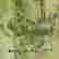 item-110906136=2