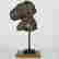 item-110917669=6