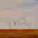 item-120349109=3