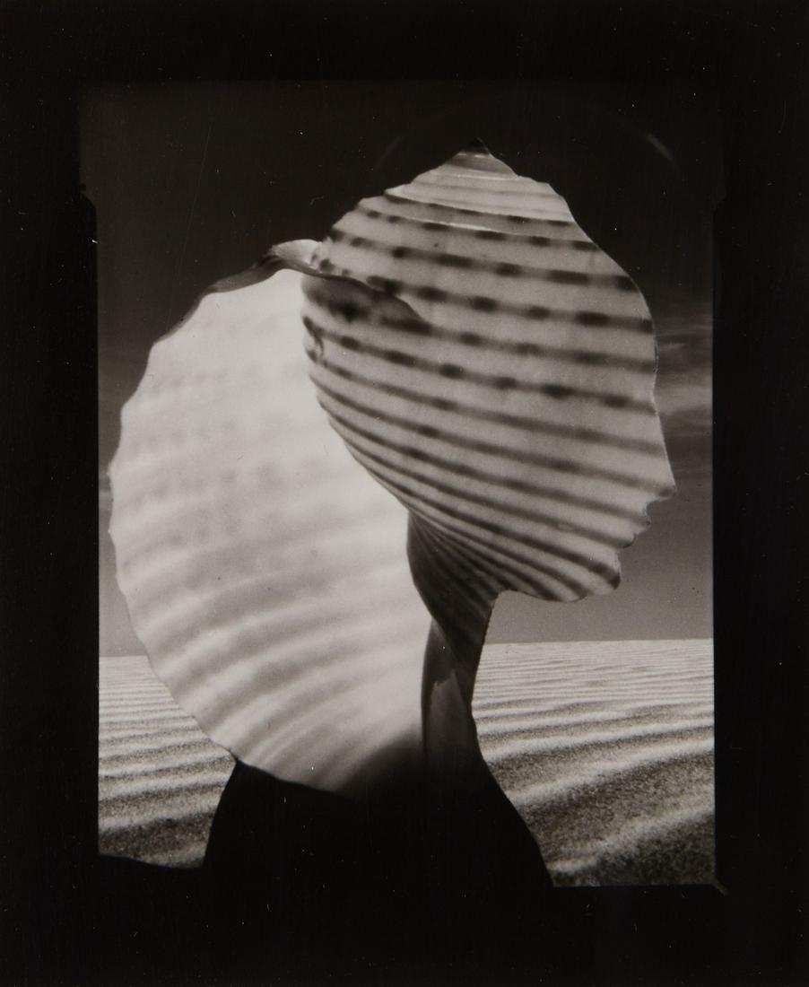 Ruth Thorne-Thomsen "Shell Head" Photo (1 of 2)