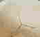 item-129332836=9