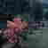 item-131881096=5