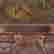 item-131881142=5