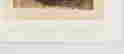 item-131881143=4