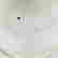 item-131881208=2