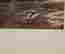 item-135644898=15