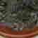 item-135645367=2