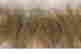 item-135645373=17