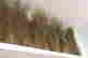 item-135645373=5