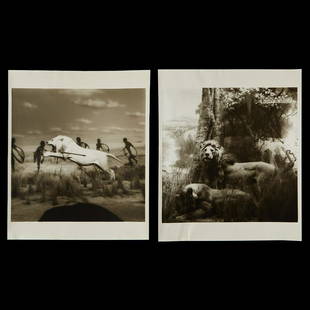 2 Lynn Geesaman Lion Photographs: Lynn Geesaman (American, 1938-2020). Group of two photographs depicting lions. Silver gelatin print. One depicting a taxidermy lion at an exhibit at the Milwaukee Public Museum, 1986. Signed, dated, a