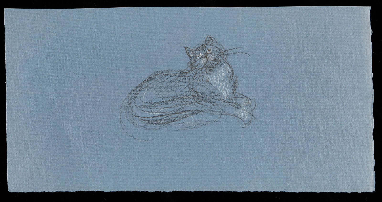 Paul Cadmus Cat Crayon on Blue Paper Sketch (1 of 2)
