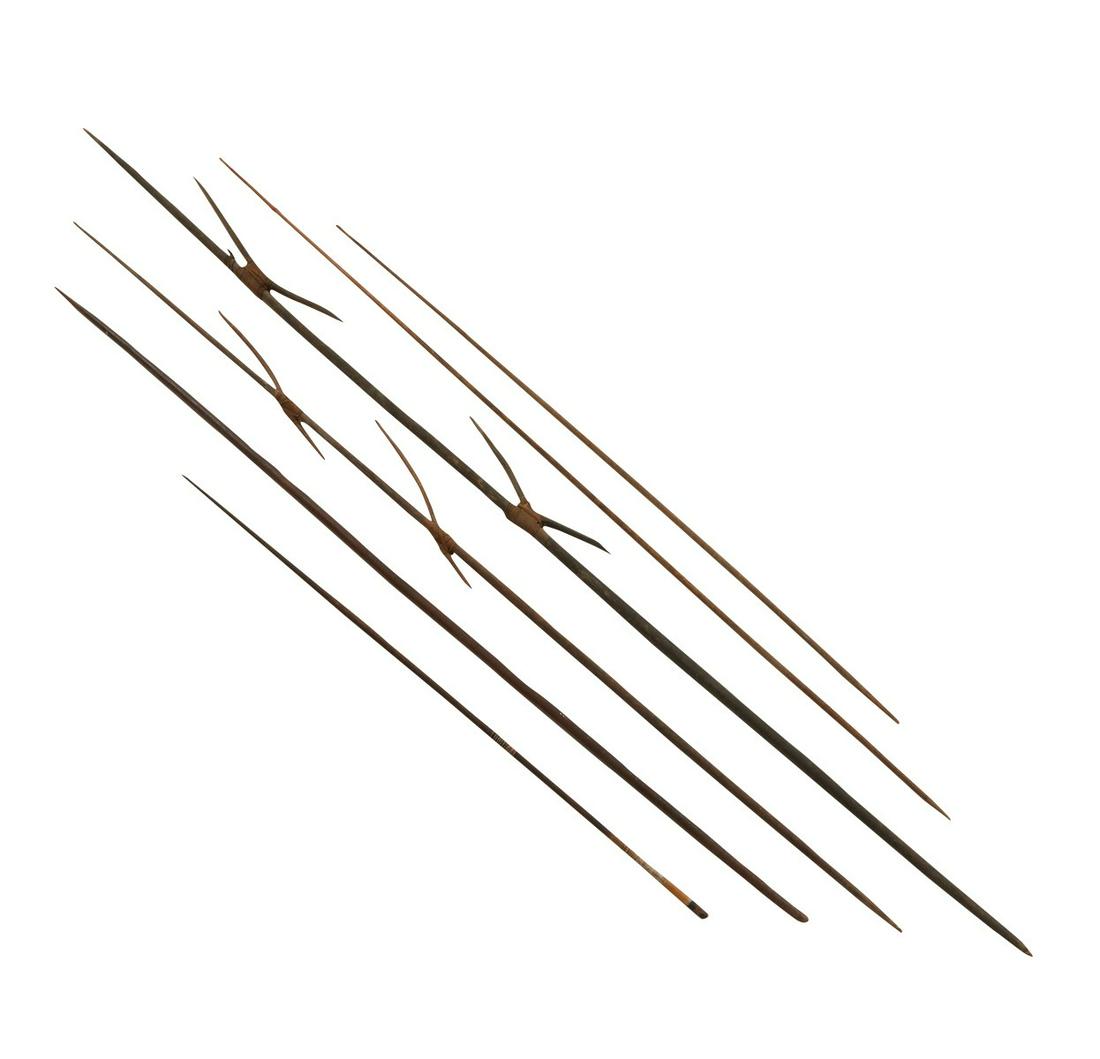 6 Polynesian or Aboriginal Spears Ex. Jack London (1 of 9)