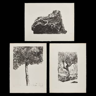 3 Avigdor Arikha Lithographs 1975: Avigdor Arikha (French/Israeli/Romanian, 1929-2010). Group of three lithographs. One depicting a rock formation; pencil signed and editioned PP along the lower left, numbered 27.VII.75 in plate along