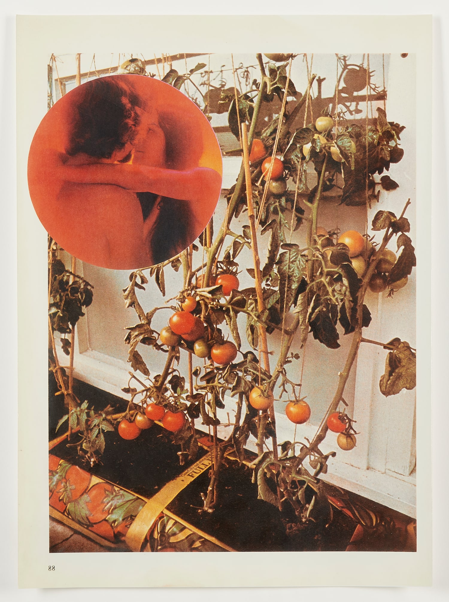 Wade Guyton “The Tomato Lovers" Photograph 2006 (1 of 7)