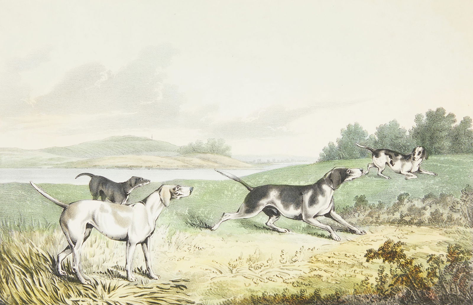Currier & Ives "Pointers" Print 1846: Nathaniel Currier, United States. Hand-colored lithograph titled "Pointers," depicting four pointers running through a field, 1846. Originally published as a set of four prints consisting of "Fox Houn