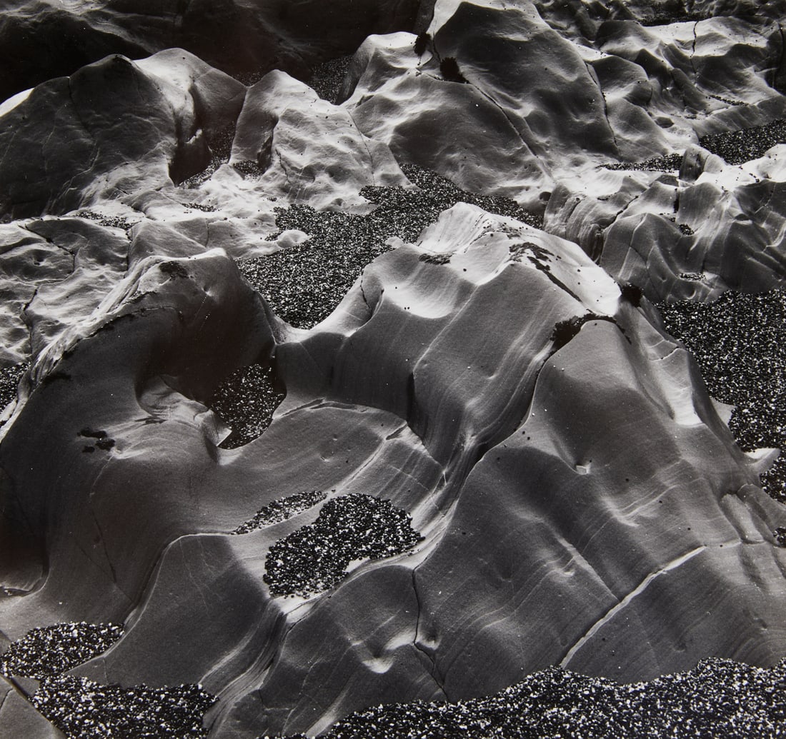 Brett Weston "Oregon" GSP Photo 1973 (1 of 5)