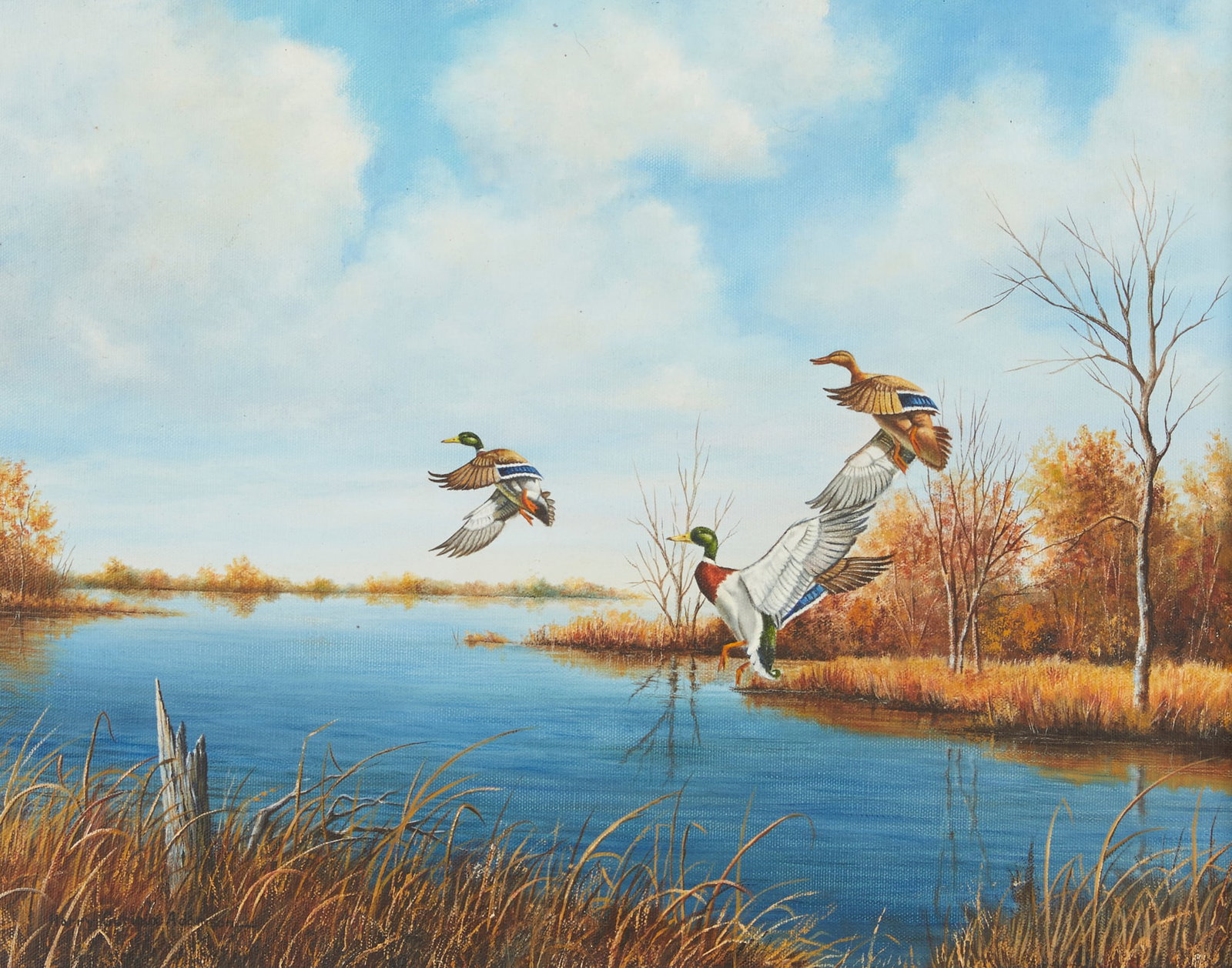 Harry Adamson Autumn Ducks Painting: Harry Curieux Adamson (American, 1916-2012). Oil on canvas painting depicting mallards in flight above a body of water. Signed along the lower left. Unframed; height: 14 in x width: 18 in. Framed; hei