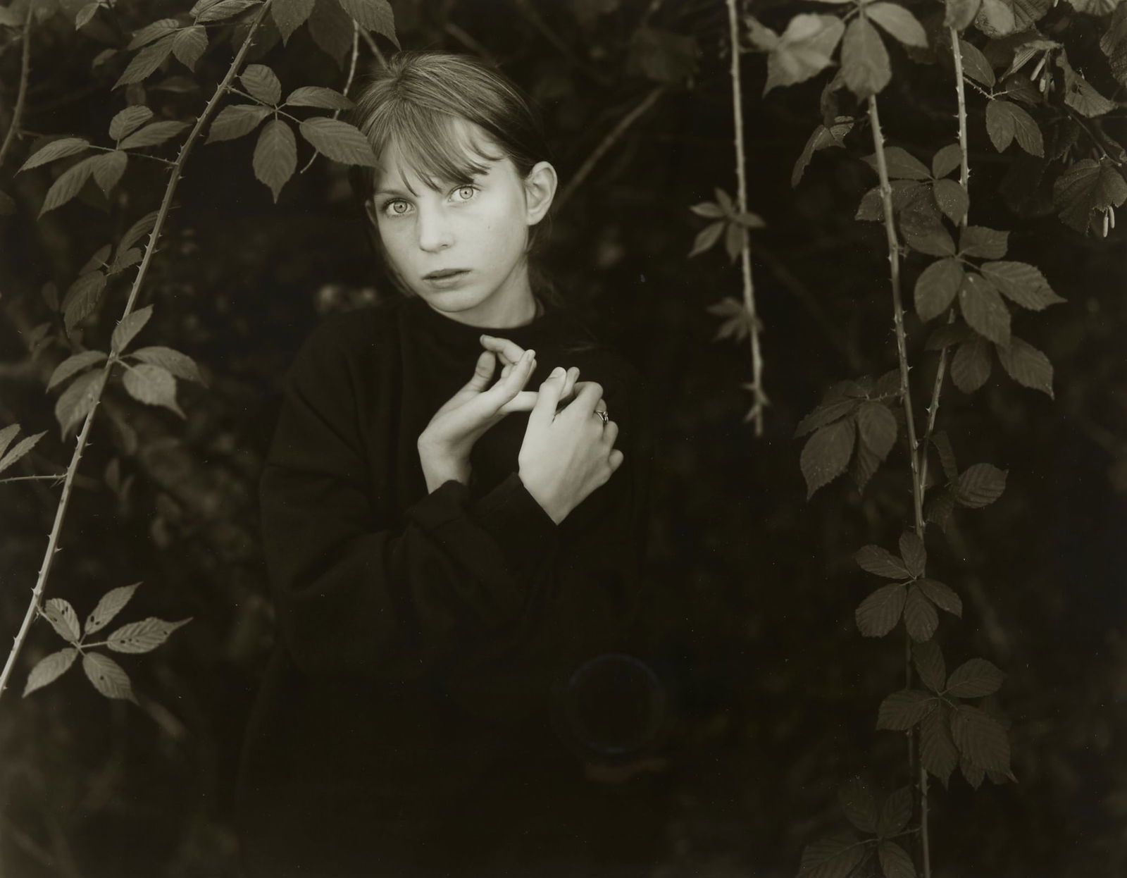 Jock Sturges Photograph of Young Girl: John "Jock" Sturges (American, b. 1947). Gelatin silver print photograph depicting a young girl in black surrounded by leaves. Her dark clothing seemingly blends into the bushes behind her,