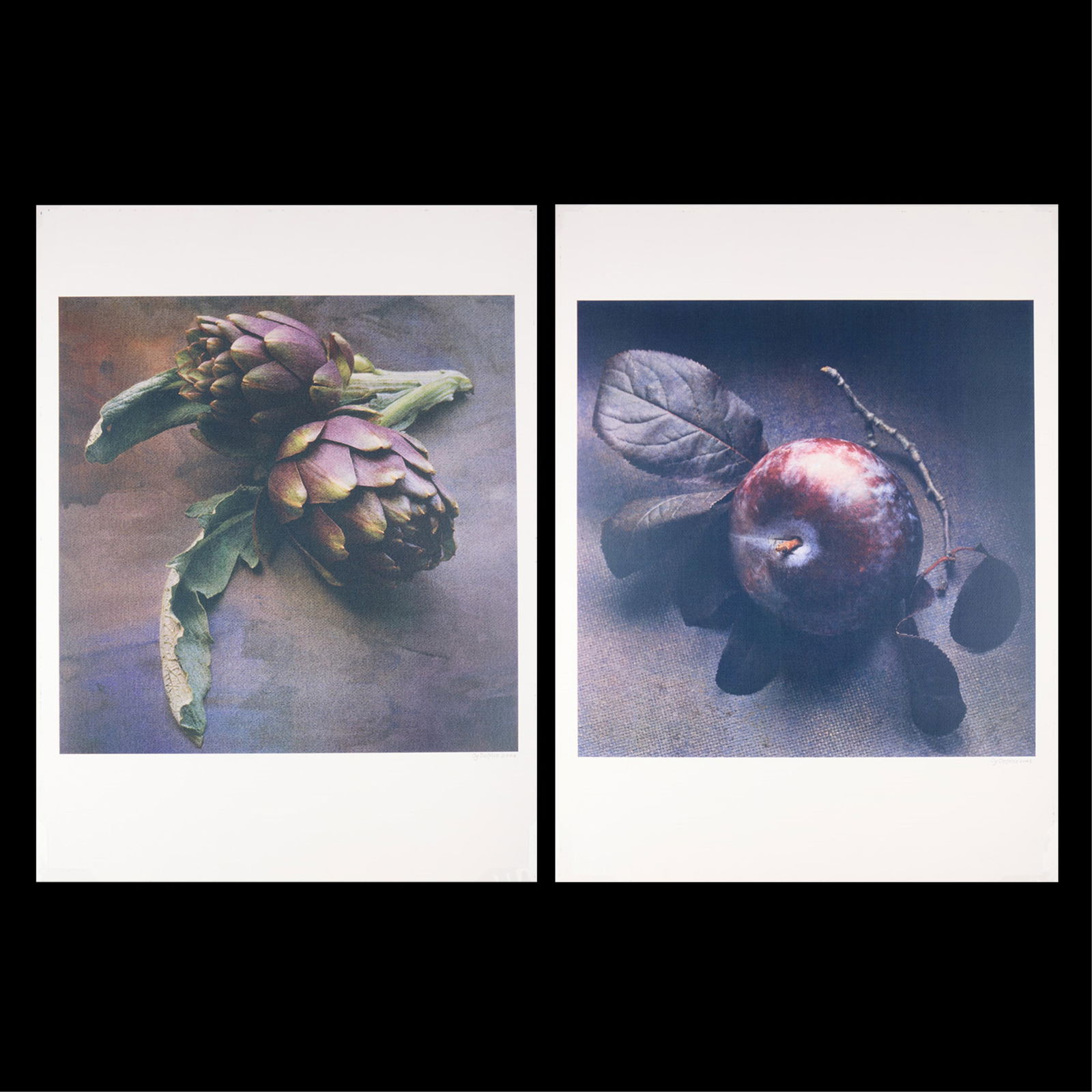 2 Cy DeCosse Still Life Photographs: Cy DeCosse (American, b. 1929). Group of two three-color gum dichromate photographs depicting fruits. Each signed and dated along the lower right. Including:"Springtime Artichokes" depicting