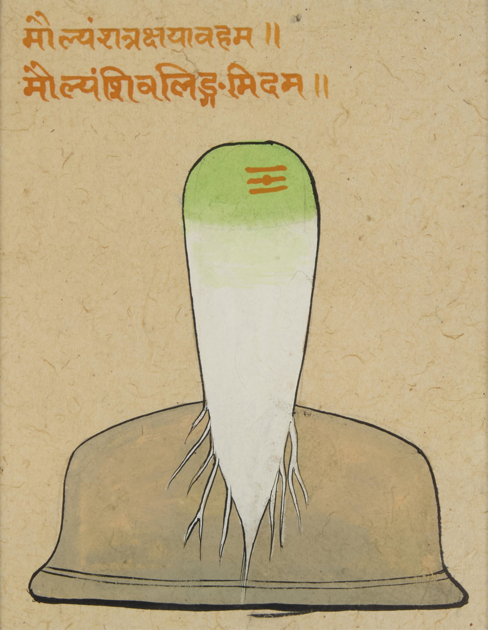 Sino-Tibetan Vegetable Drawing: Sino-Tibetan painting on paper depicting a root vegetable. Sight; height: 7 in x width: 5 1/2 in. Framed; height: 16 1/4 in x width: 14 in x depth: 1 in.