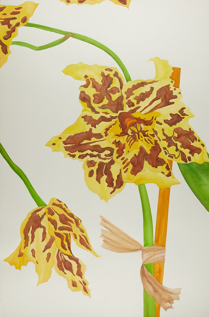 Ed Baynard "Leopard's Edge" Watercolor 2003: Ed Baynard (American, 1940-2016). Large watercolor on paper painting titled "Leopard's Edge" depicting blooming tiger lilies, 2003. Pen signed and dated along the lower left.Height: 60 in x