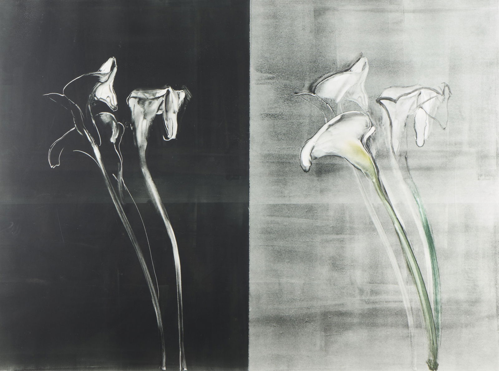 Michael Mazur "Calla Lilies III" Diptych 1989: Michael Mazur (American, 1935-2009). Monotype on paper diptych titled "Calla Lilies III" depicting three blooming flowers on each sheet, 1989. With a John C. Stoller & Co., Minneapolis, labe