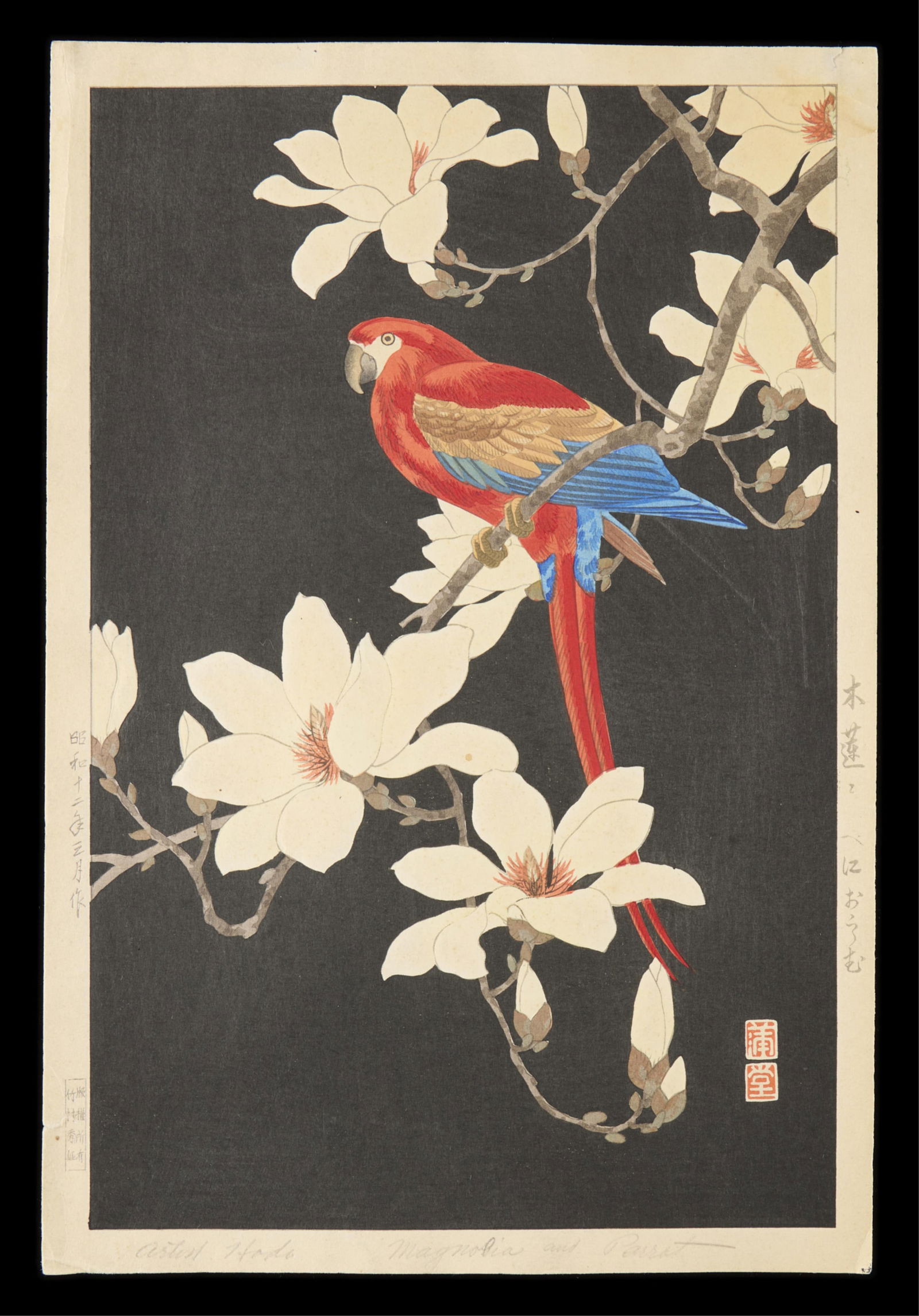 Hodo Nishimura "Red Parrot & Magnolia" Woodblock (1 of 5)