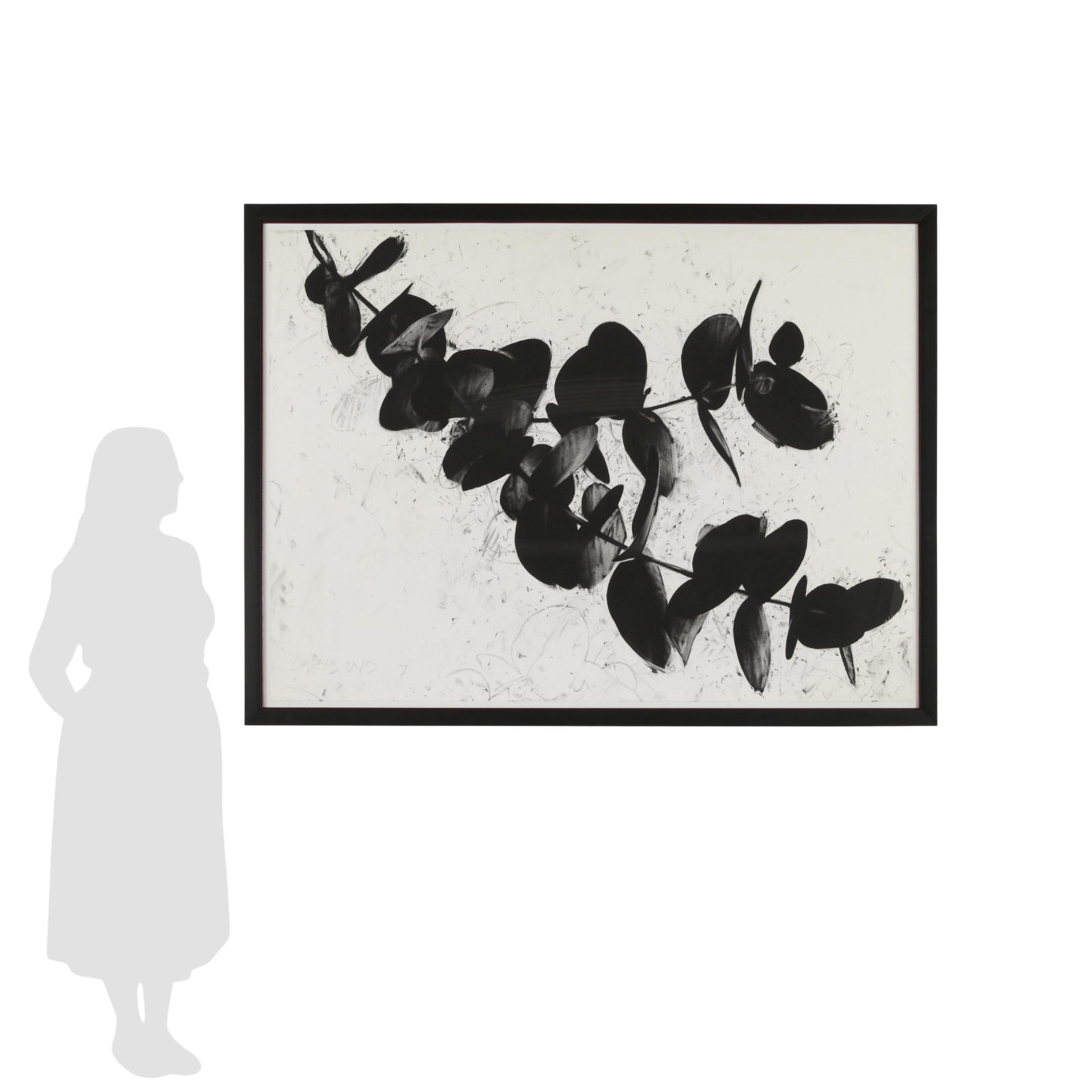 Laurence Dreiband "Eucalyptus 7" Charcoal Drawing: Laurence Dreiband (American, b. 1944). Large charcoal on paper drawing titled "Eucalyptus 7" depicting the eponymous leaves in black and white. Signed along the lower left. Sight; height: 42