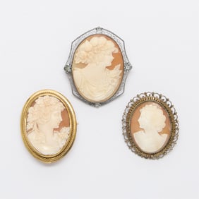 Group 3 Shell Cameo Brooches