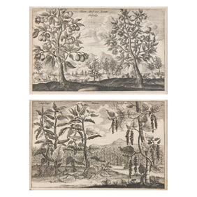 2 "Embassy of East-India Co. to China" Etchings