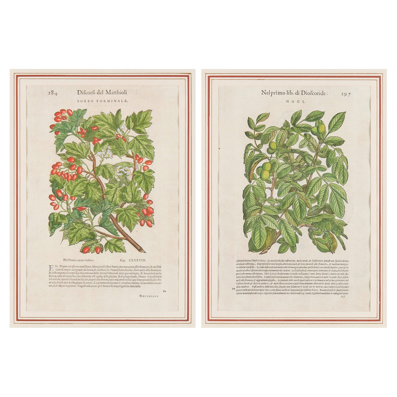 2 Antique Italian Botanical Prints (1 of 9)