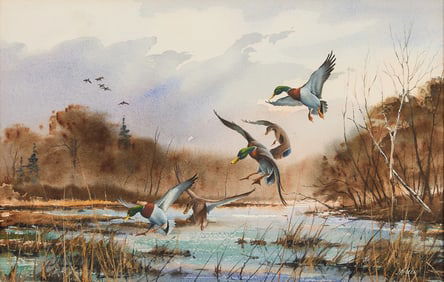 James Killen "Pitching-In" Mallard Watercolor