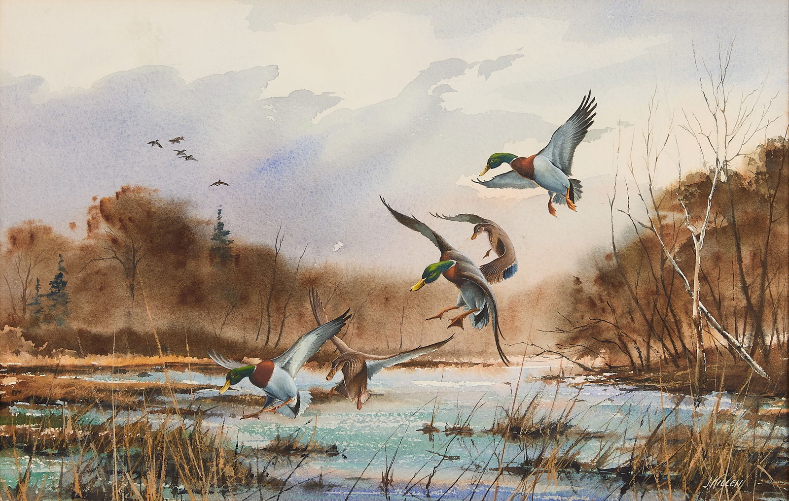 James Killen "Pitching-In" Mallard Watercolor (1 of 5)