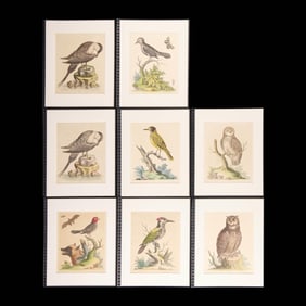 8 George Edwards "Natural History" Bird Plates