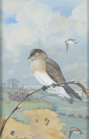 Allan Cyril Brooks Swallow Painting
