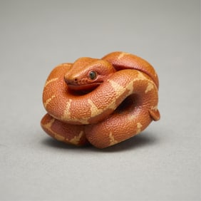 Nick Lamb "Boa" Carved Boxwood Ojime