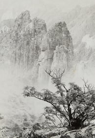 Chin San Long "Majestic Solitude" Photograph