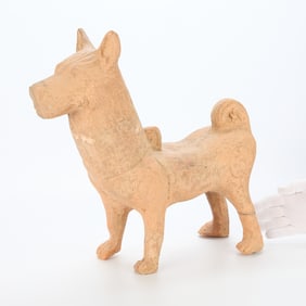 Large Han Dynasty Terracotta 18" Dog Model