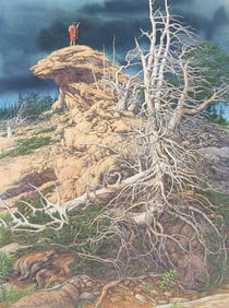 Bev Doolittle "Prayer for the Wild Things" Print