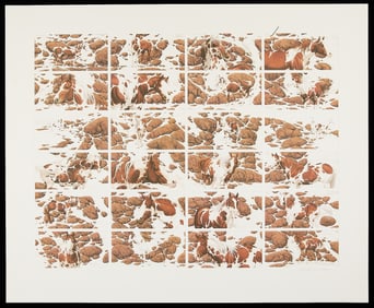 Bev Doolittle "Hide and Seek" S/N Print