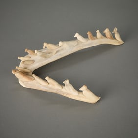 Antler Bird Sculpture from Kuujjuaraapik