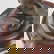 item-210004260=7