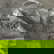 item-210004278=5